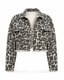 223.CHAQUETA SUMMER